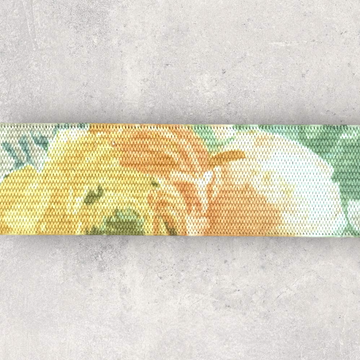 Elastik, orange roser 21mm, 1m