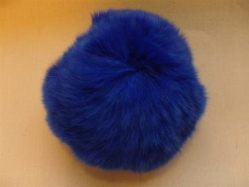 Pelskvast koboltblå, 8 cm